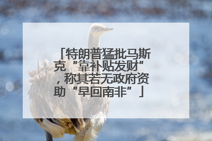 特朗普猛批马斯克“靠补贴发财”，称其若无政府资助“早回南非”
