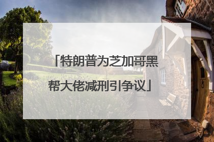 特朗普为芝加哥黑帮大佬减刑引争议
