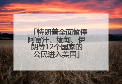 特朗普全面暂停阿富汗、缅甸、伊朗等12个国家的公民进入美国