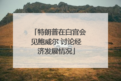 特朗普在白宫会见鲍威尔 讨论经济发展情况