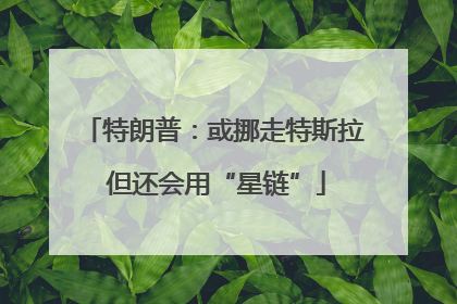 特朗普：或挪走特斯拉 但还会用“星链”