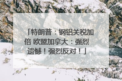 特朗普：钢铝关税加倍 欧盟加拿大：强烈遗憾！强烈反对！
