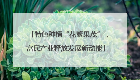 特色种植“花繁果茂”，富民产业释放发展新动能