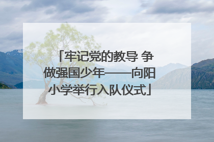 牢记党的教导 争做强国少年——向阳小学举行入队仪式