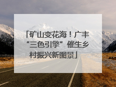 矿山变花海！广丰“三色引擎”催生乡村振兴新图景