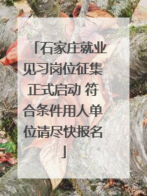 石家庄就业见习岗位征集正式启动 符合条件用人单位请尽快报名