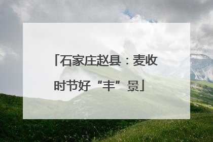 石家庄赵县：麦收时节好“丰”景
