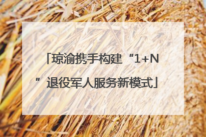 琼渝携手构建“1+N”退役军人服务新模式