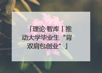 理论·智库丨推动大学毕业生“背双肩包创业”
