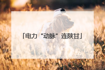 电力“动脉”连陕甘