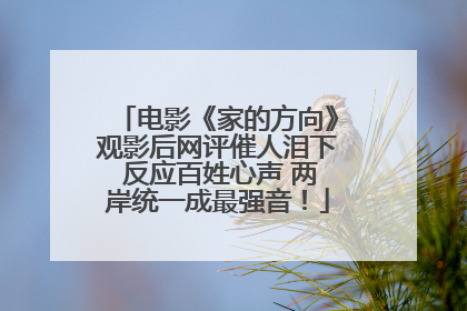 电影《家的方向》观影后网评催人泪下 反应百姓心声 两岸统一成最强音！