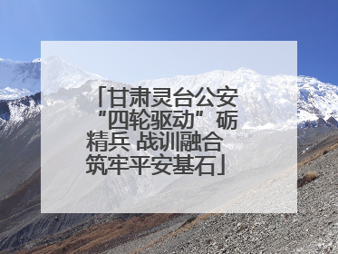 甘肃灵台公安“四轮驱动”砺精兵 战训融合筑牢平安基石