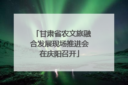 甘肃省农文旅融合发展现场推进会在庆阳召开