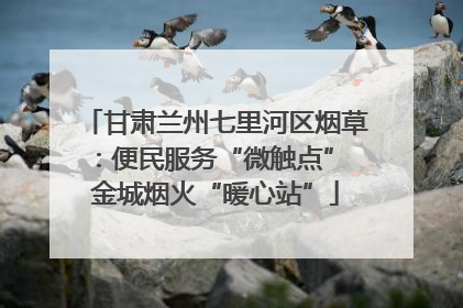 甘肃兰州七里河区烟草：便民服务“微触点” 金城烟火“暖心站”