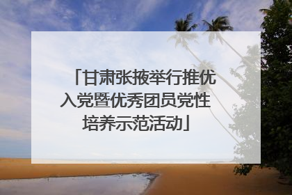 甘肃张掖举行推优入党暨优秀团员党性培养示范活动