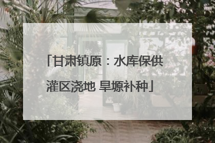 甘肃镇原：水库保供 灌区浇地 旱塬补种