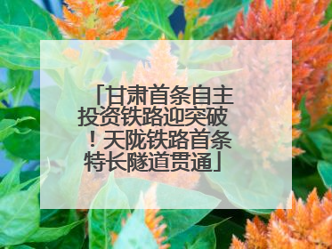 甘肃首条自主投资铁路迎突破！天陇铁路首条特长隧道贯通