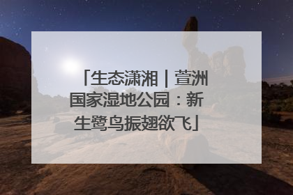 生态潇湘｜萱洲国家湿地公园：新生鹭鸟振翅欲飞