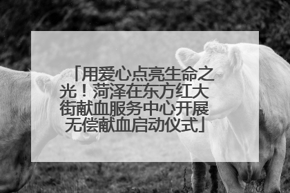 用爱心点亮生命之光！菏泽在东方红大街献血服务中心开展无偿献血启动仪式