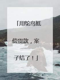用鸵鸟抵偿货款，案子结了！