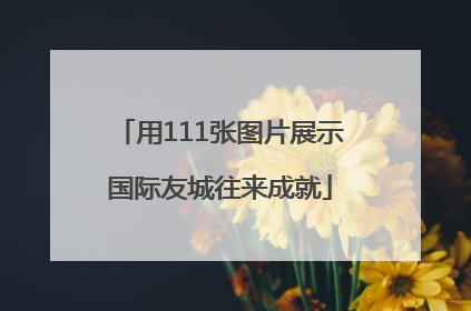 用111张图片展示国际友城往来成就
