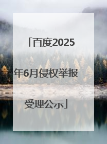 百度2025年6月侵权举报受理公示