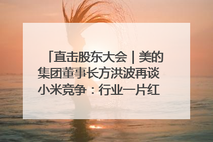 直击股东大会｜美的集团董事长方洪波再谈小米竞争：行业一片红海，打法已固定，无论谁胜都是消耗战
