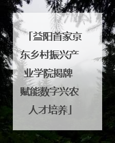 益阳首家京东乡村振兴产业学院揭牌 赋能数字兴农人才培养
