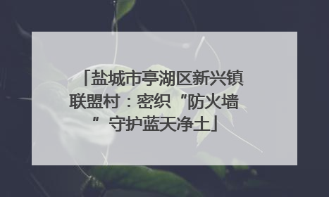 盐城市亭湖区新兴镇联盟村：密织“防火墙”守护蓝天净土