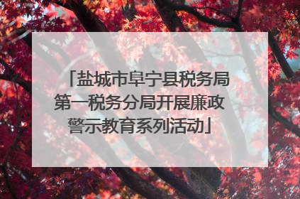盐城市阜宁县税务局第一税务分局开展廉政警示教育系列活动
