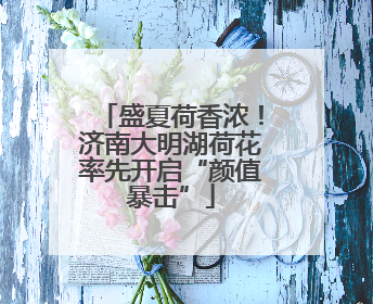 盛夏荷香浓！济南大明湖荷花率先开启“颜值暴击”