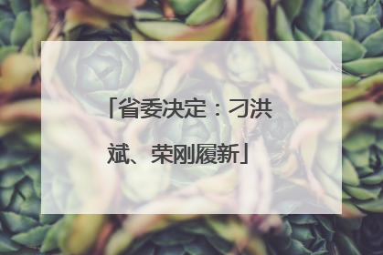 省委决定：刁洪斌、荣刚履新