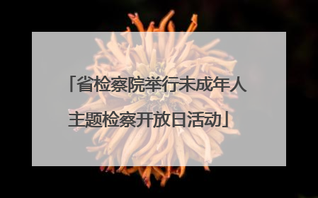 省检察院举行未成年人主题检察开放日活动