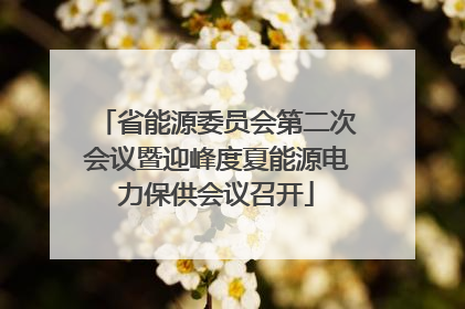 省能源委员会第二次会议暨迎峰度夏能源电力保供会议召开