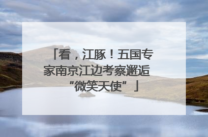 看，江豚！五国专家南京江边考察邂逅“微笑天使”