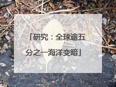 研究：全球逾五分之一海洋变暗