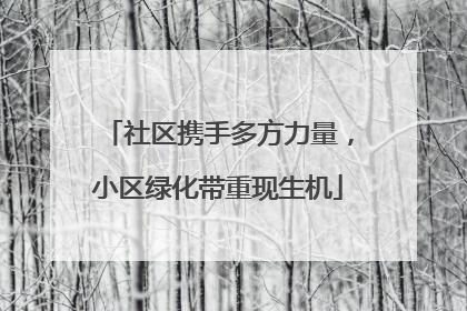 社区携手多方力量，小区绿化带重现生机