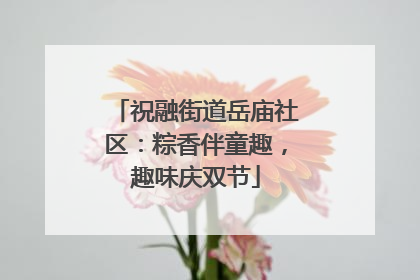 祝融街道岳庙社区：粽香伴童趣，趣味庆双节