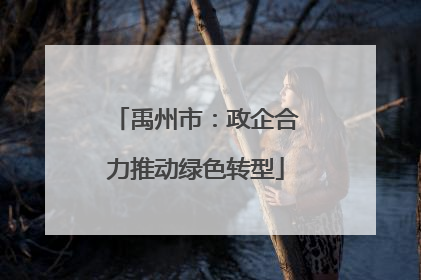 禹州市：政企合力推动绿色转型