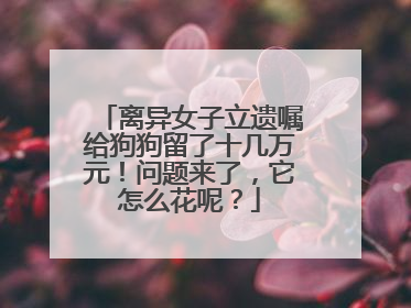 离异女子立遗嘱给狗狗留了十几万元！问题来了，它怎么花呢？