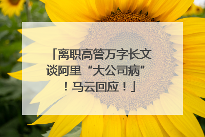 离职高管万字长文谈阿里“大公司病”！马云回应！