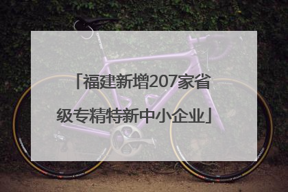 福建新增207家省级专精特新中小企业
