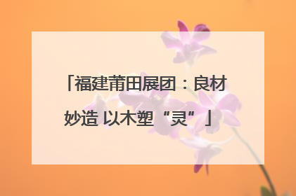 福建莆田展团：良材妙造 以木塑“灵”