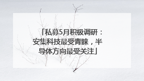 私募5月积极调研：安集科技最受青睐，半导体方向最受关注