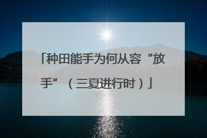 种田能手为何从容“放手”（三夏进行时）