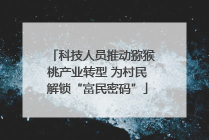 科技人员推动猕猴桃产业转型 为村民解锁“富民密码”