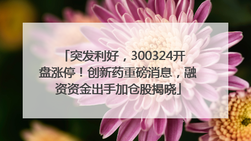 突发利好，300324开盘涨停！创新药重磅消息，融资资金出手加仓股揭晓