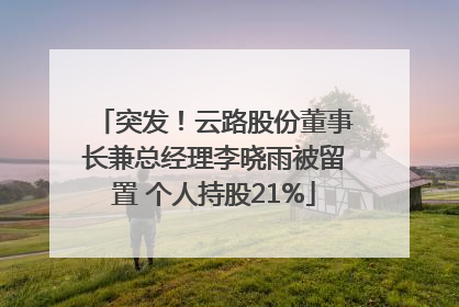 突发！云路股份董事长兼总经理李晓雨被留置 个人持股21%