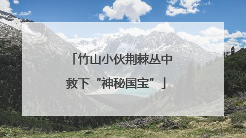 竹山小伙荆棘丛中救下“神秘国宝”
