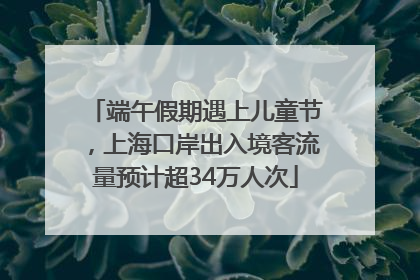 端午假期遇上儿童节，上海口岸出入境客流量预计超34万人次